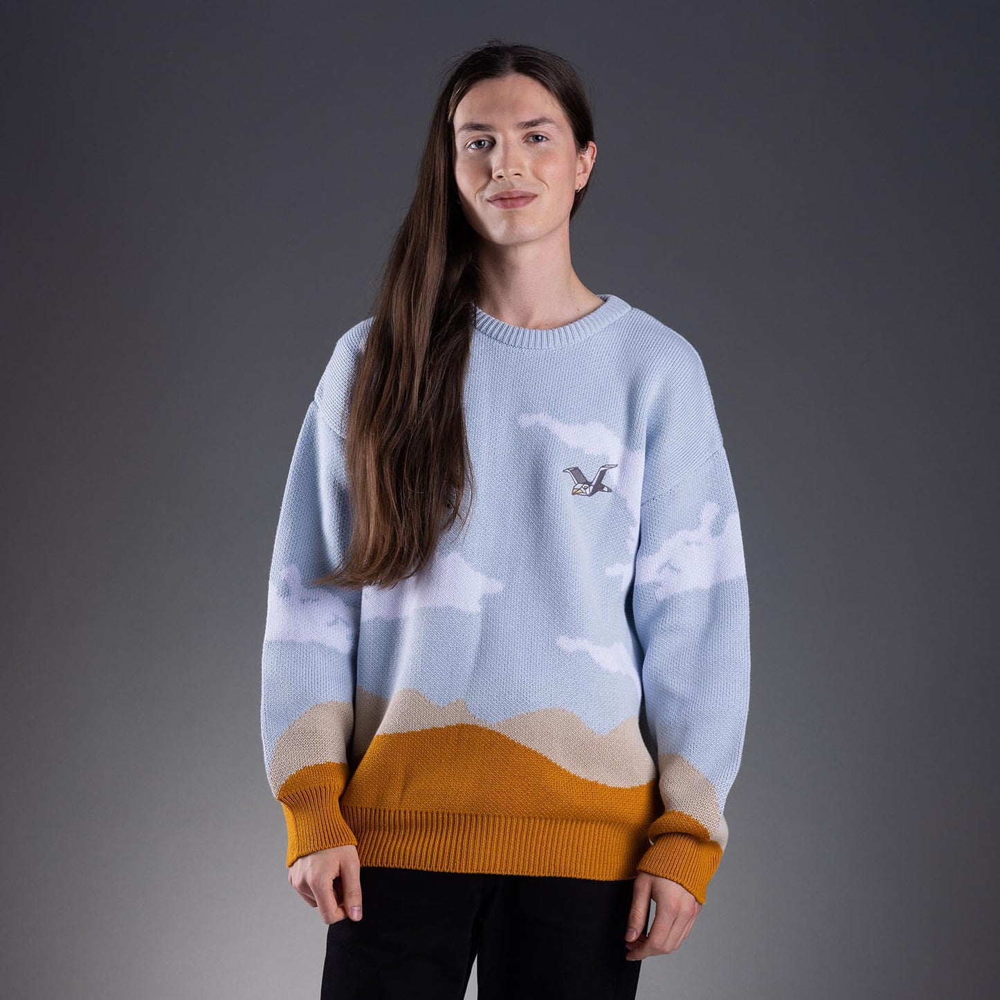 Front view of a light-blue knitted unisex crewneck featuring all-over cloud patterns and a bird motif on the right-hand side chest. The hem and sleeve cuffs are finished with a mustard-coloured edge.